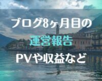 ブログ運営8ヶ月目の報告。PVや収益など